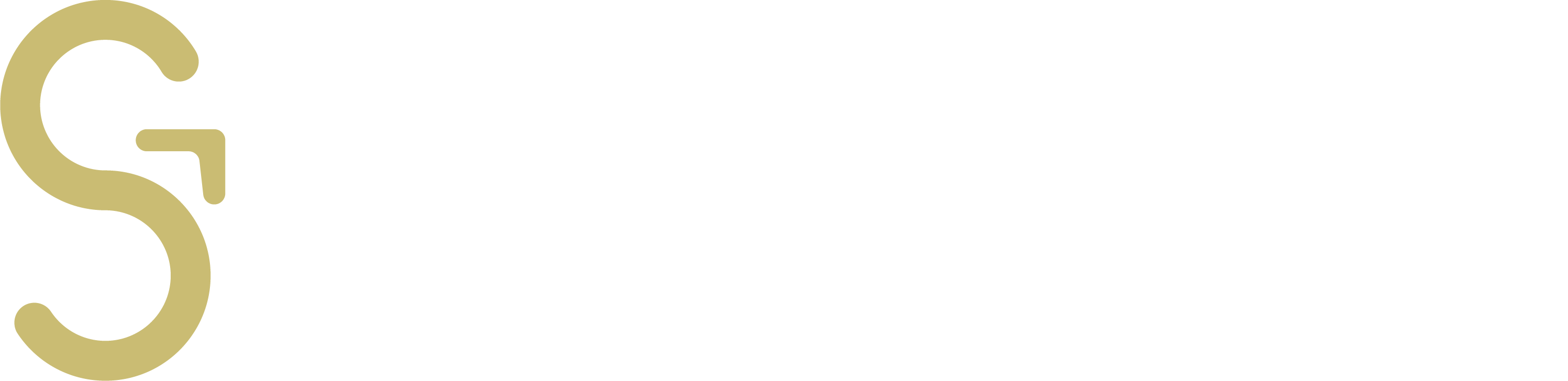 Logo – Guimarães Siqueira – Site.1